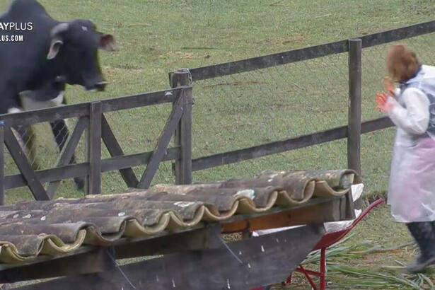 Deborah Albuquerque se assustando com o touro na área de cercado dos animais