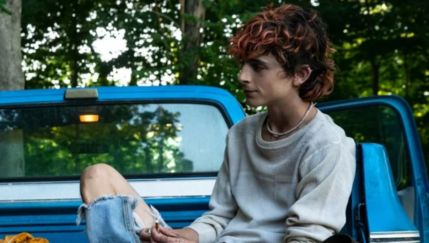 Timothée Chalamet em cima de um carro azul