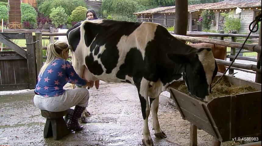 Deolane tirando leite da vaca em A Fazenda 14