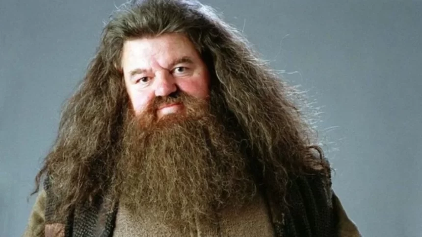 Robbie Coltrane, como Hagrid, em trecho do filme Harry Potter