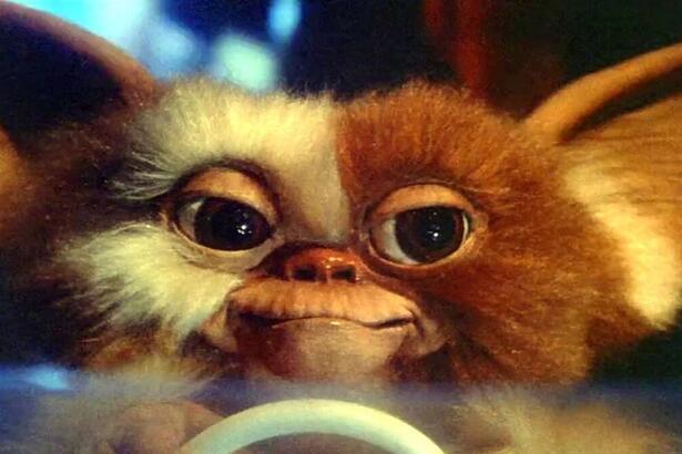 Trecho do filme Gremlins, exibido pela TV Globo na Sessão de Sábado