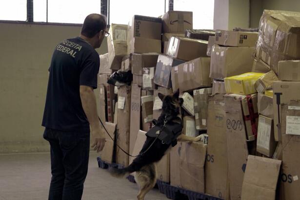 Cães farejadores encontram droga em centro de remessas do aeroporto do Galeão, no Rio de Janeiro. Ação será exibida na série Aeroporto nesta segunda-feira (27)