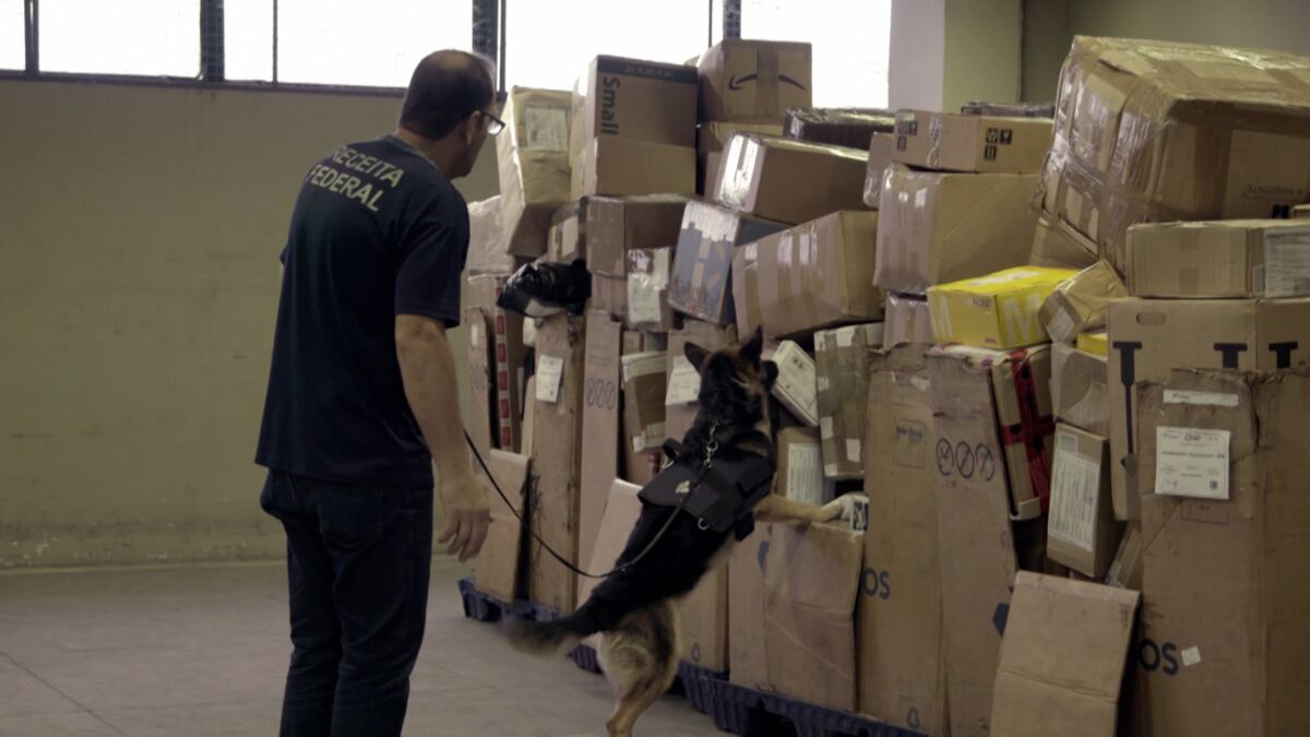 Cães farejadores encontram droga em centro de remessas do aeroporto do Galeão, no Rio de Janeiro. Ação será exibida na série Aeroporto nesta segunda-feira (27)