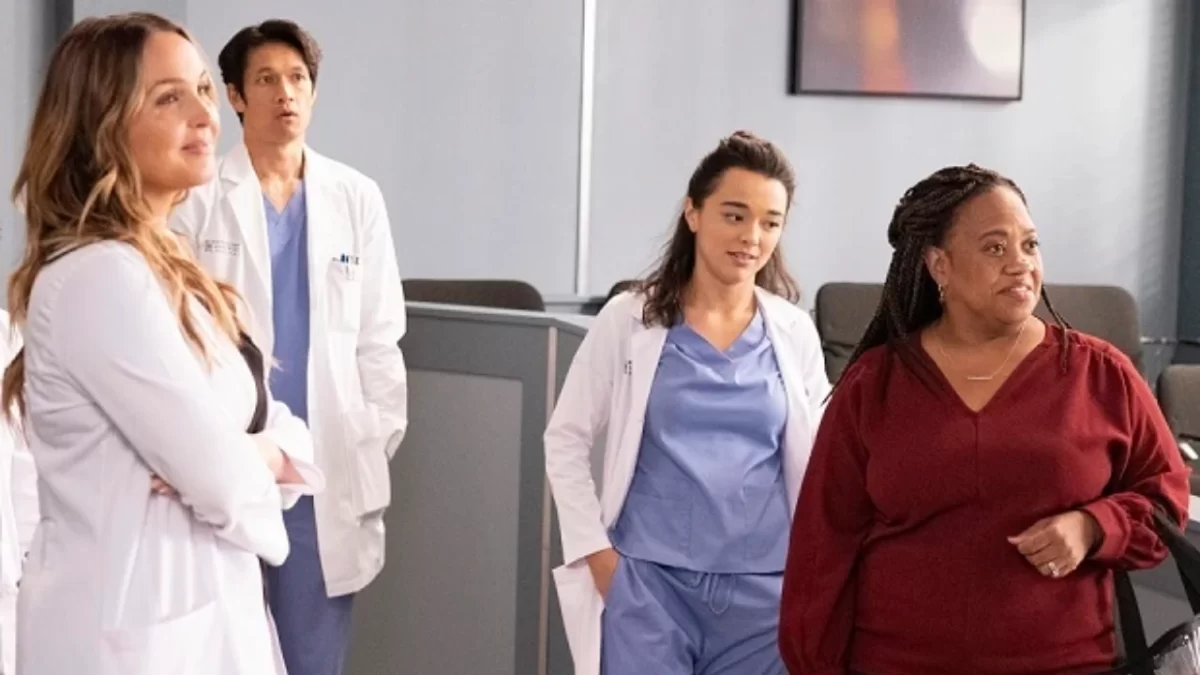 Trecho da série Grey's Anatomy , com os personagens principais