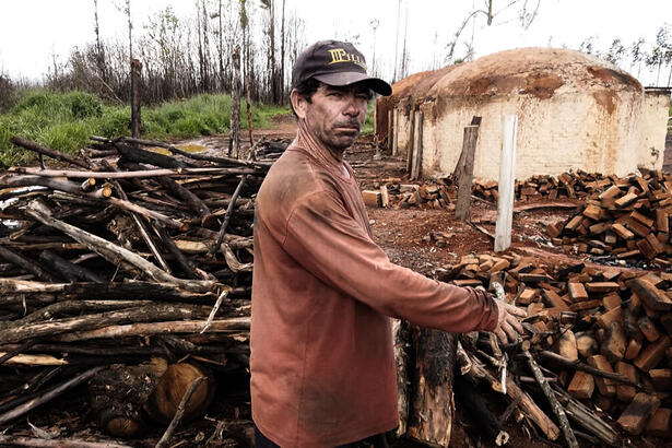 Trabalho escravo em carvoarias é tema do Repórter Record Investigação desta quinta-feira (02)