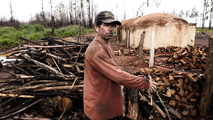 Trabalho escravo em carvoarias é tema do Repórter Record Investigação desta quinta-feira (02)