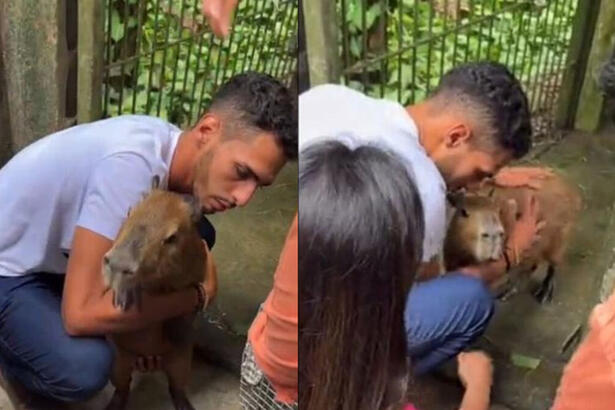 Montagem com Agenor Tupinambá reencontrando a Capivara Filó, após liberação do Ibama