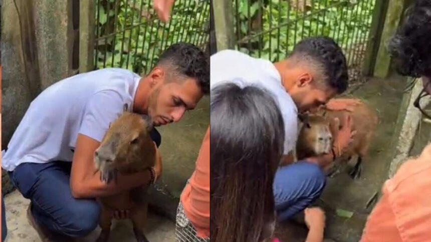 Montagem com Agenor Tupinambá reencontrando a Capivara Filó, após liberação do Ibama