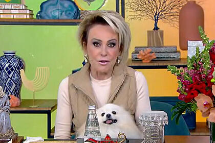 Ana Maria Braga sentada na bancada do estúdio do Mais Você, com a cachorrinha no colo