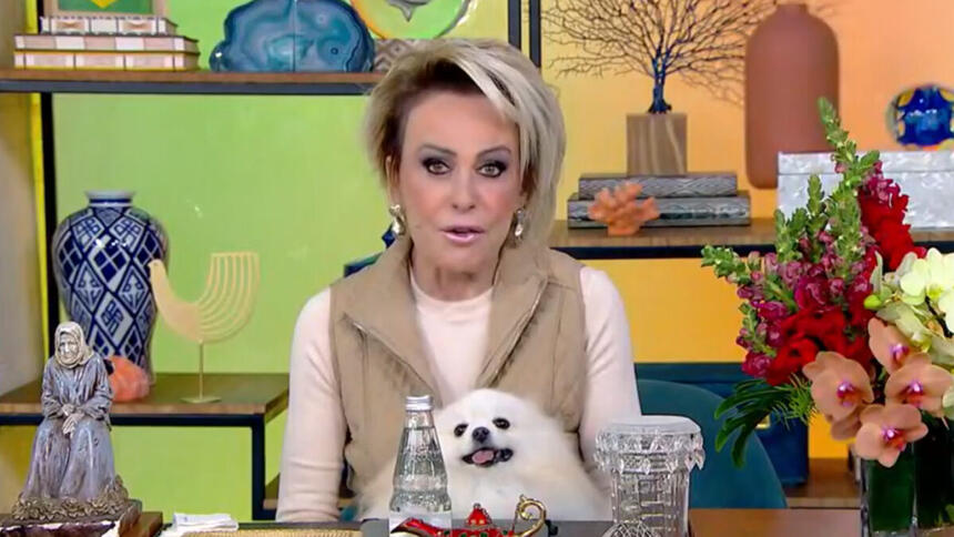 Ana Maria Braga sentada na bancada do estúdio do Mais Você, com a cachorrinha no colo