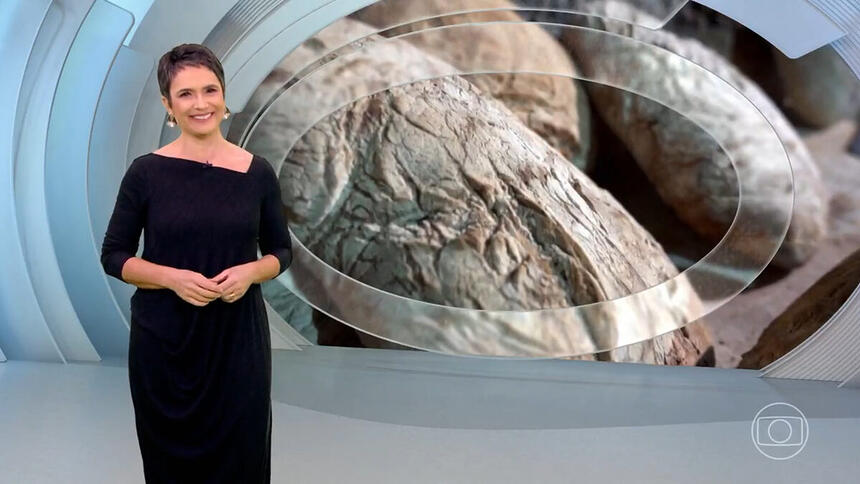 Sandra Annenberg em trecho da apresentação no estúdio do Globo Repórter