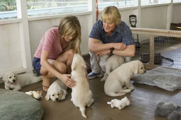 Owen Wilson e Jennifer Aniston em trecho do filme Marley e Eu