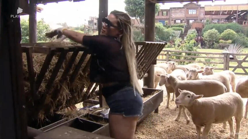 Kally Fonseca durante o trato das ovelhas em A Fazenda 15