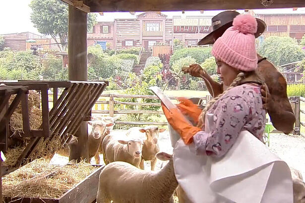 Kally Fonseca e Yuri durante o trato das ovelhas em A Fazenda 15