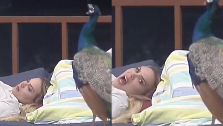 Kally abre a boca apó o Pavão gritar ao seu lado