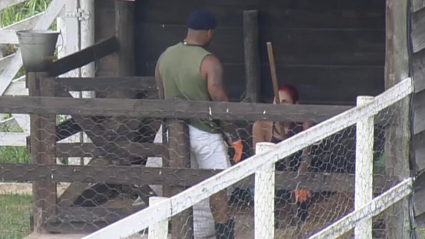 Black e Alicia durante conversa na A Fazenda