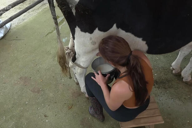 Jaquelline durante o trato da vaca em A Fazenda