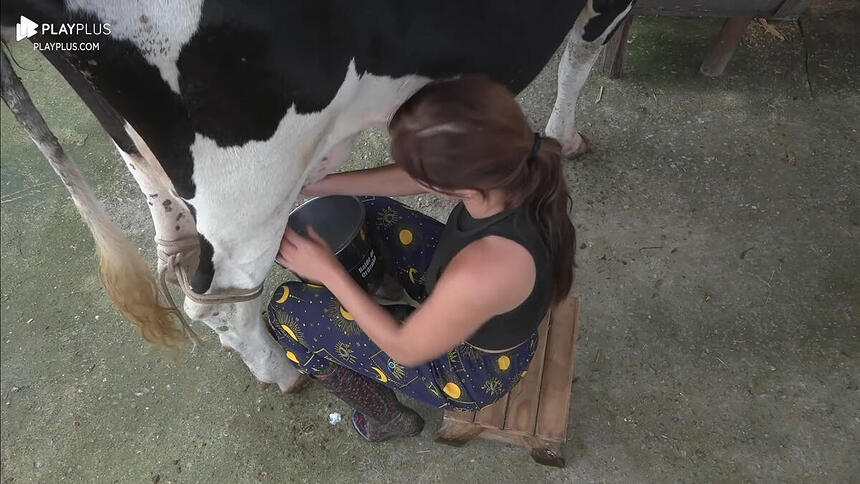 Jaquelline durante a ordenha da vaca em A Fazenda