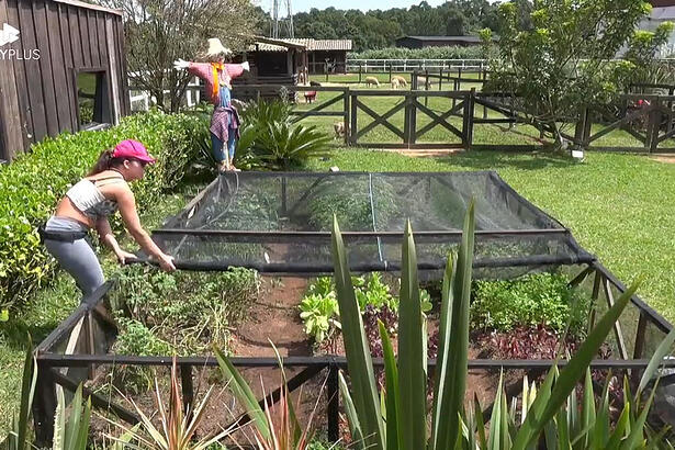 Nadja Pessoa durante o trato das hortas de A Fazenda