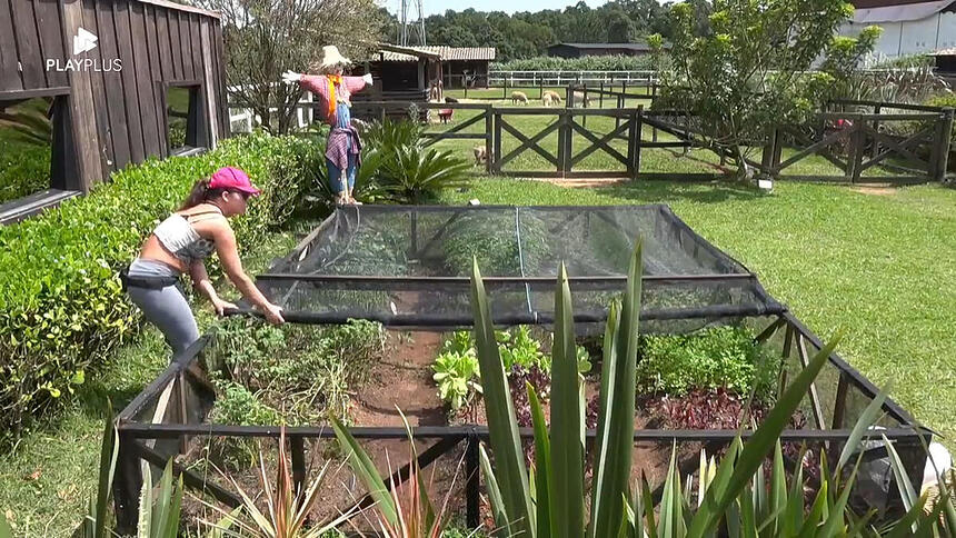 Nadja Pessoa durante o trato das hortas de A Fazenda