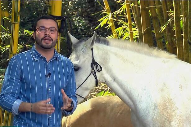 Pedro Málaga na frente de um cavalo em reportagem do Globo Rural