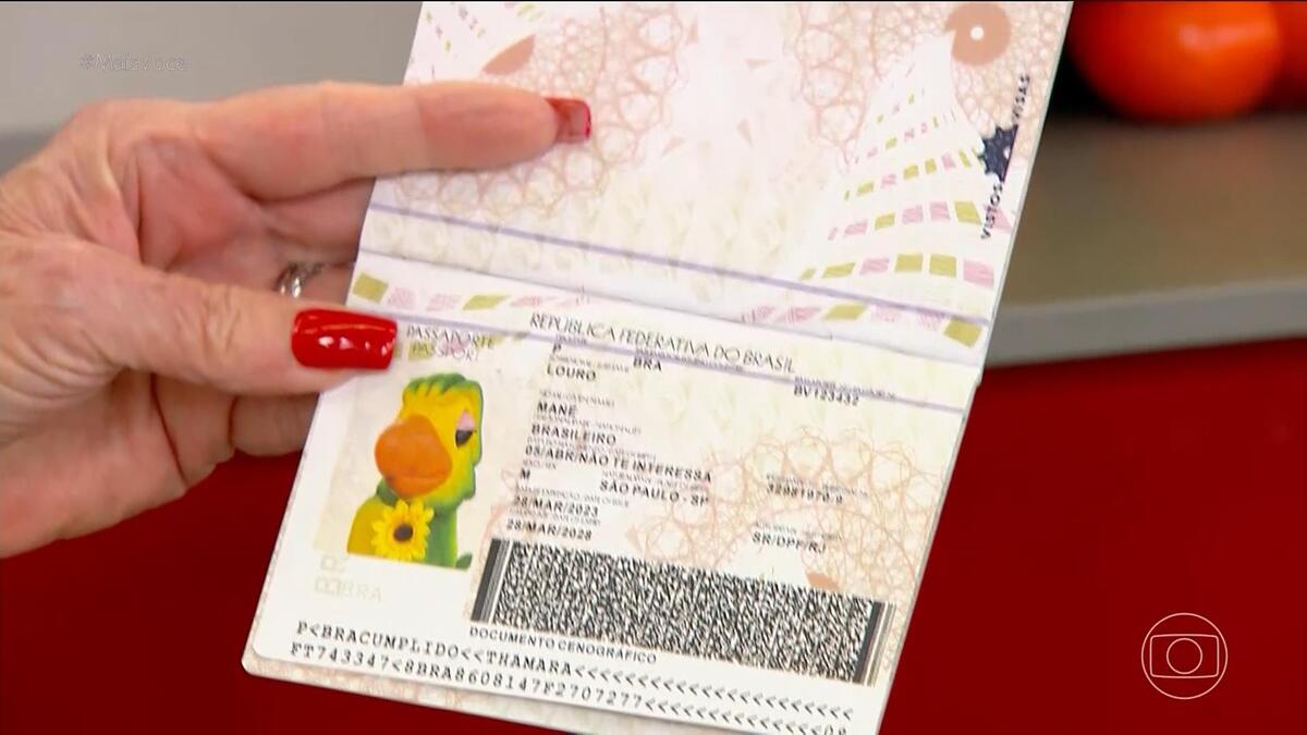 Passaporte do Louro Mané