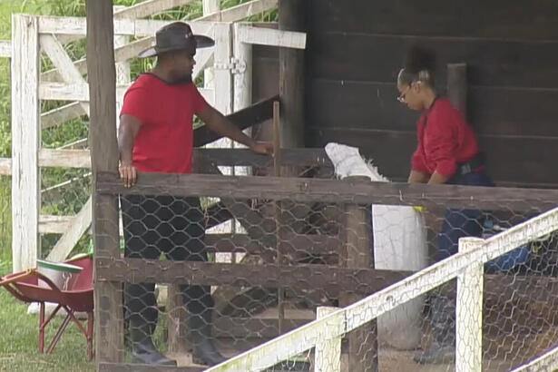 Tonzão e Lily Nobre em conversa durante o trato dos animais em A Fazenda