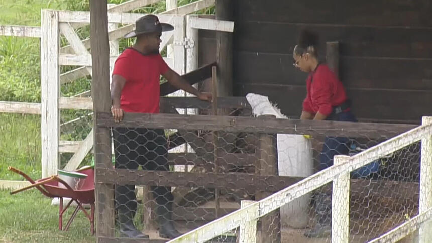 Tonzão e Lily Nobre em conversa durante o trato dos animais em A Fazenda