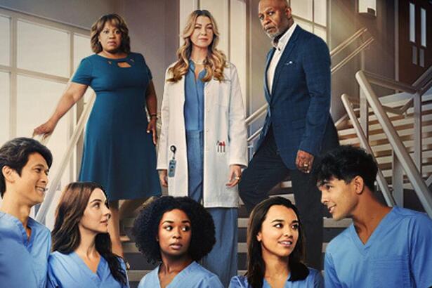 A imagem mostra o elenco em uma escada. Nos degraus superiores, vê-se Miranda Bailey, Merith Greys e Webber. Na parte inferior, os 5 novos internos vestidos com roupas cirúrgicas.