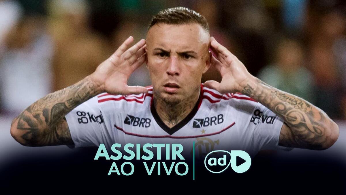 Flamengo X Palestino Saiba Onde Assistir Ao Vivo E Online