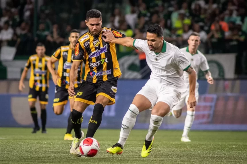 Jogadores do Palmeiras e Novorizontino disputam bola durante jogo