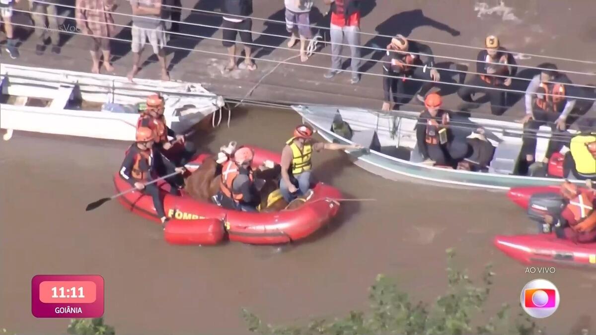 TV Globo exibe parte do salvamento do animal dentro do Mais Você