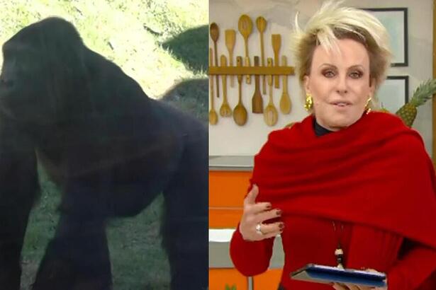 Gorila e Ana Maria Braga em uma montagem no Mais Você