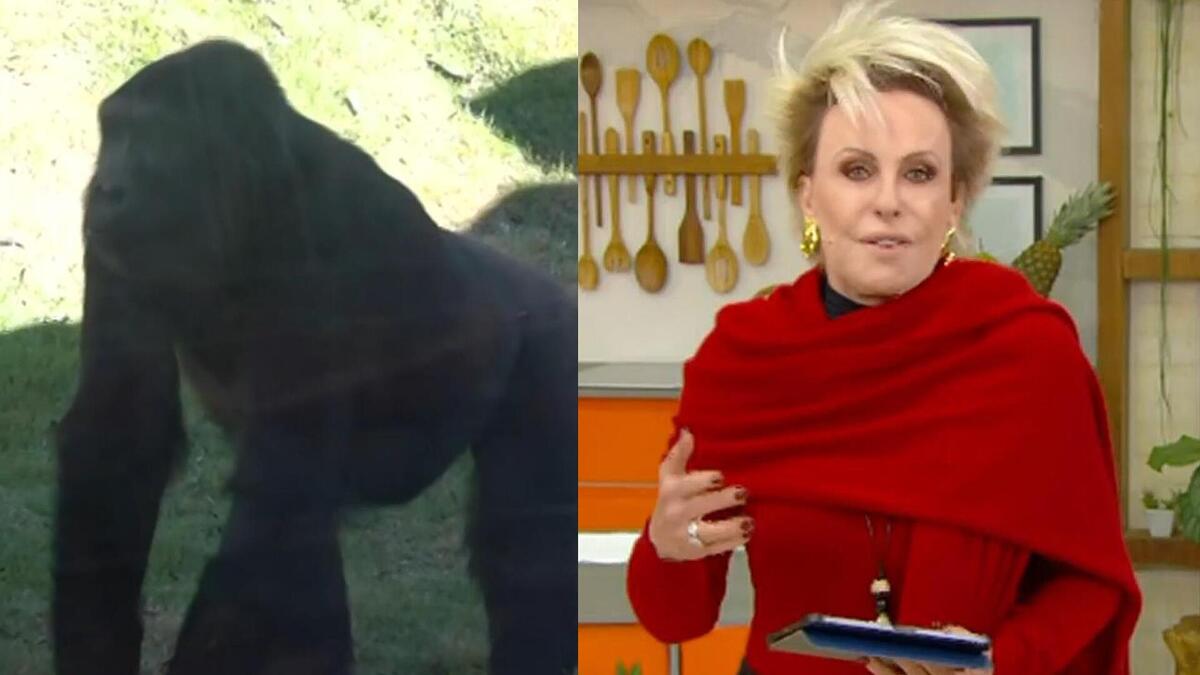 Gorila e Ana Maria Braga em uma montagem no Mais Você