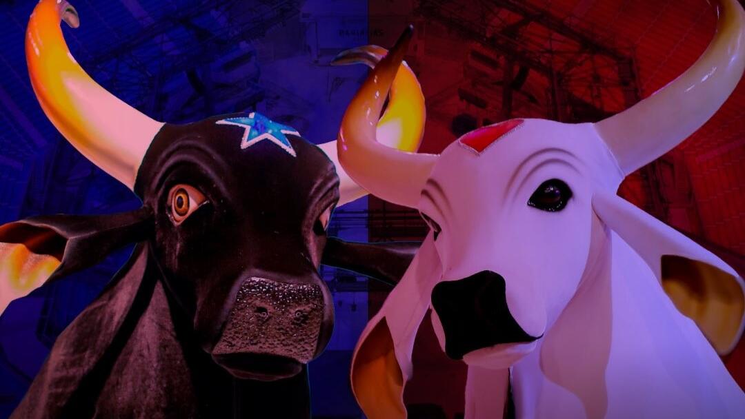 Boi caprichoso e Boi Garantido na arte de divulgação da transmissão do Festival de Parintins na Globo