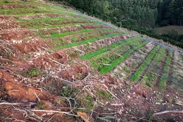 Serra Gaúcha em destaque na matéria do Globo Rural