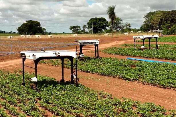 Robôs no campo em reportagem exibida no Globo Rural