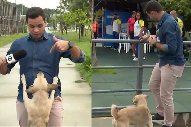 João Neto com a invasão do cachorro Caramelo no Bom Dia PE