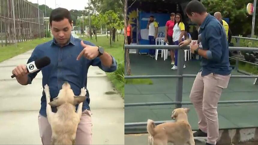 João Neto com a invasão do cachorro Caramelo no Bom Dia PE