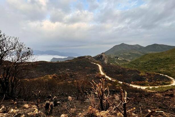 Queimadas Parque Nacional de Itatiaia em trecho do Globo Repórter