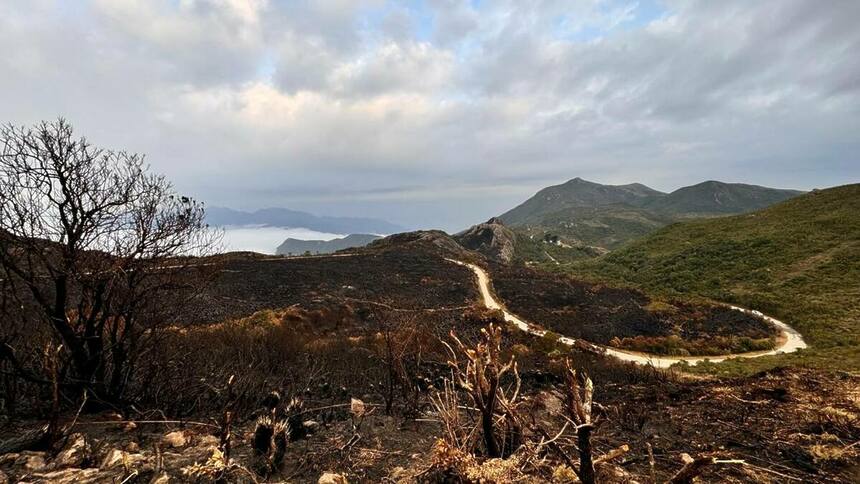 Queimadas Parque Nacional de Itatiaia em trecho do Globo Repórter