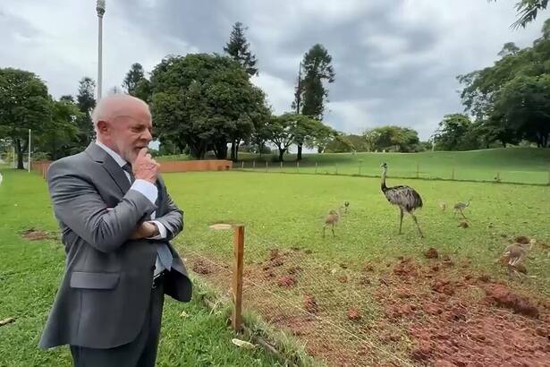 Lula observa as Emas do Palácio Alvorada