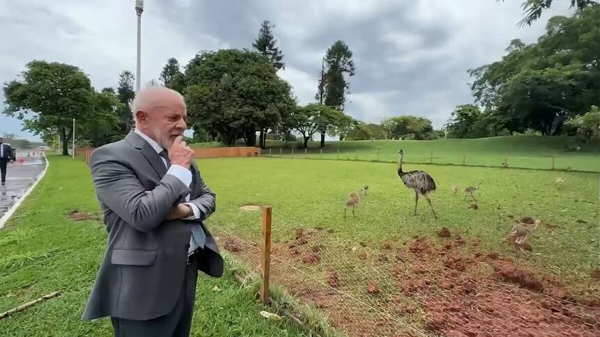 Lula observa as Emas do Palácio Alvorada