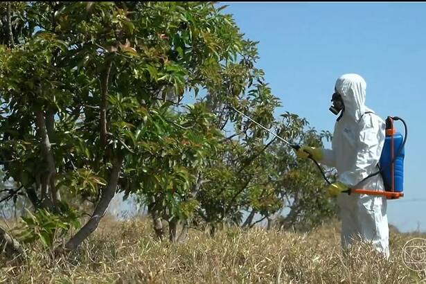 Homem com roupa de proteção aplica calda bordalesa na plantação