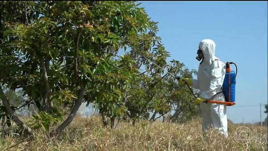 Homem com roupa de proteção aplica calda bordalesa na plantação