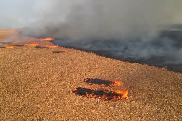 Imagem aérea de um campo de lavoura pegando fogo em reportagem sobre as queimadas no Globo Rural