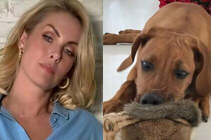 Ana Hickmann e cachorra Aisha em uma montagem