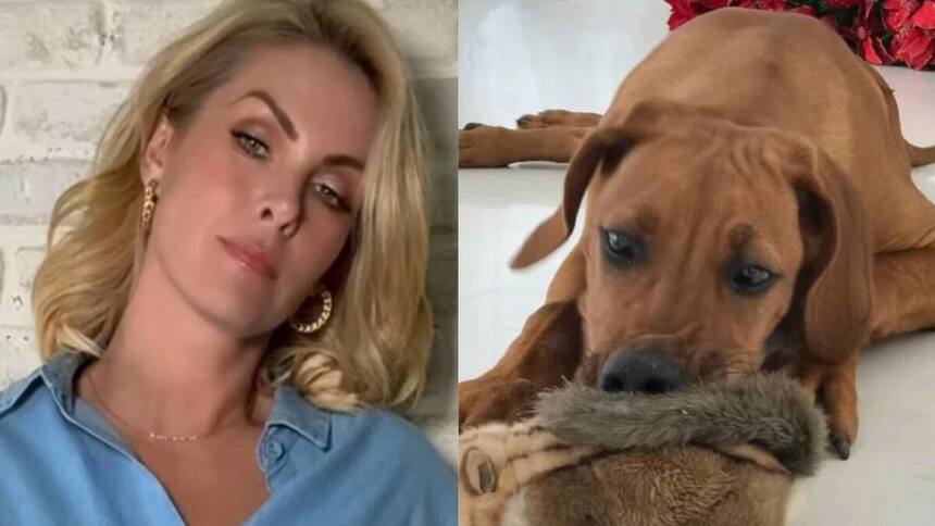 Ana Hickmann e cachorra Aisha em uma montagem