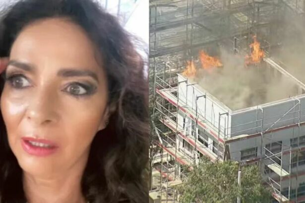 Claudia Ohana em montagem com incêndio nos Estúdios Globo