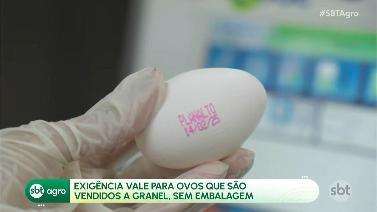 Mão com luvas segura um ovo branco com data de validade na casca